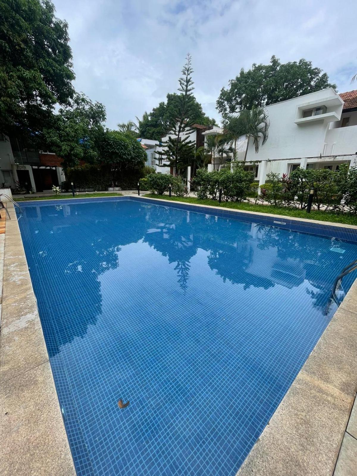 Villa M - Solitude 2 Candolim Goa 3Bhk, Pool Facing, Near Beach, Free Breakfast, Free Wifi And Prime Location Luaran gambar
